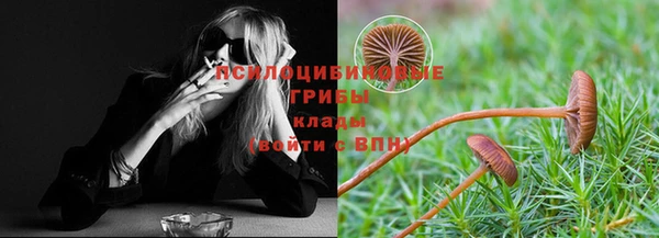 прущий лед Краснослободск