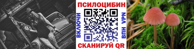 Галлюциногенные грибы MAGIC MUSHROOMS  blacksprut ССЫЛКА  Щучье 
